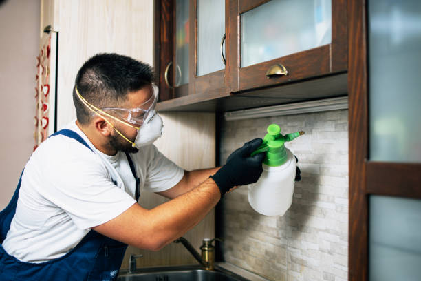 Best Pest Prevention Services  in Mclouth, KS
