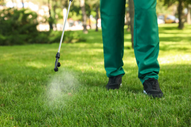 Best Mosquito Control Services  in Mclouth, KS