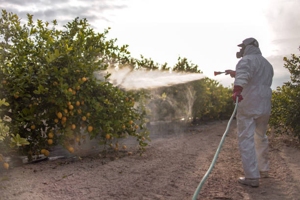 Best Exterminator Services  in Mclouth, KS