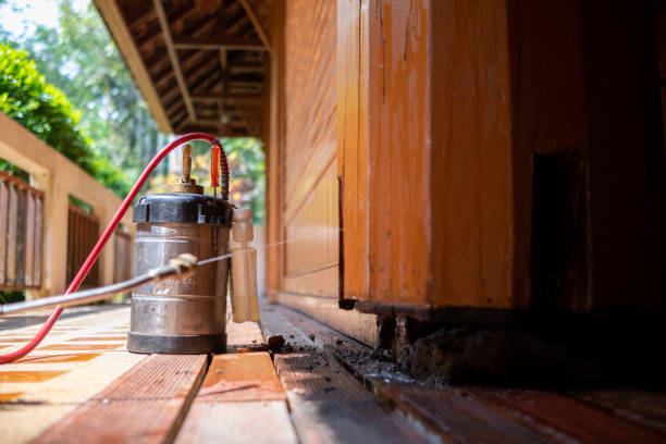 Best Wasp Removal Services  in Mclouth, KS